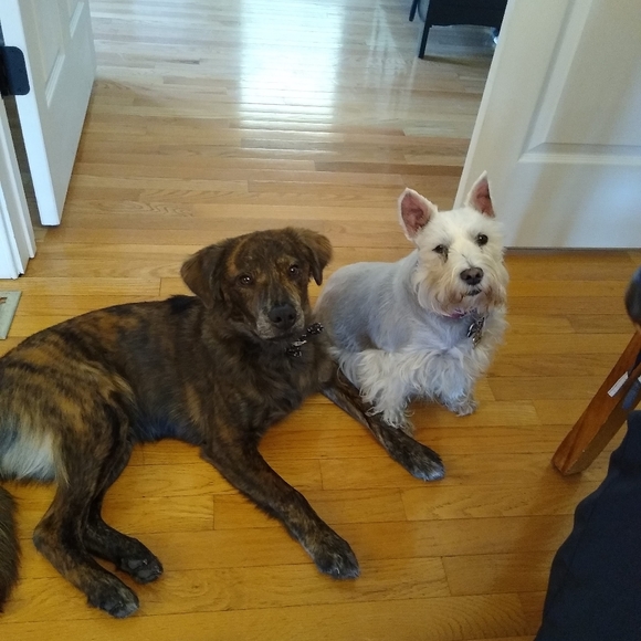 Meet your Posher, Andrea - Picture 8 of 16